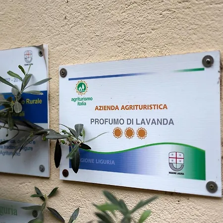 Profumo Di Lavanda Verde Nasino